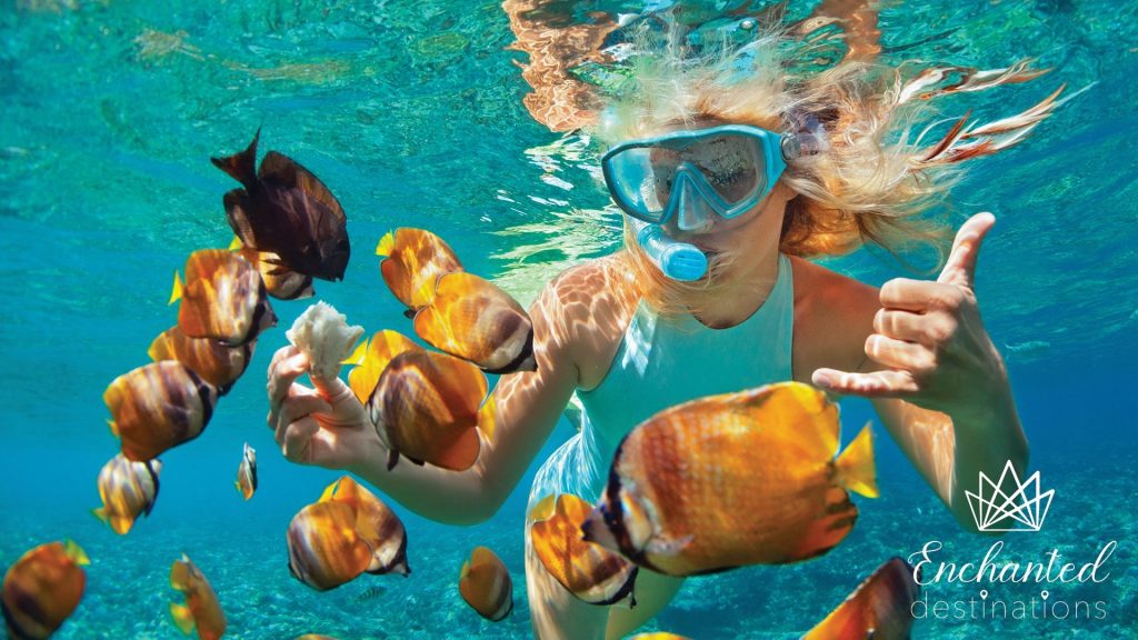Teen snorkeling with fish while on a cruise trip.