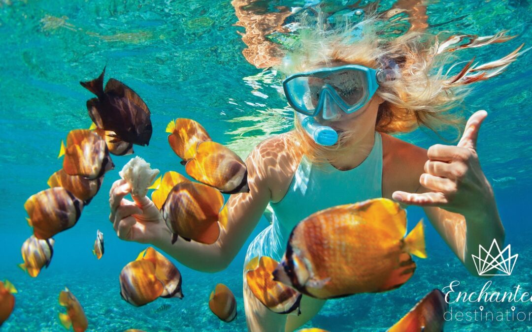 Teen snorkeling with fish while on a cruise trip.