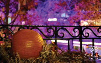 Exploring Mickey’s Not-So-Scary Halloween Party